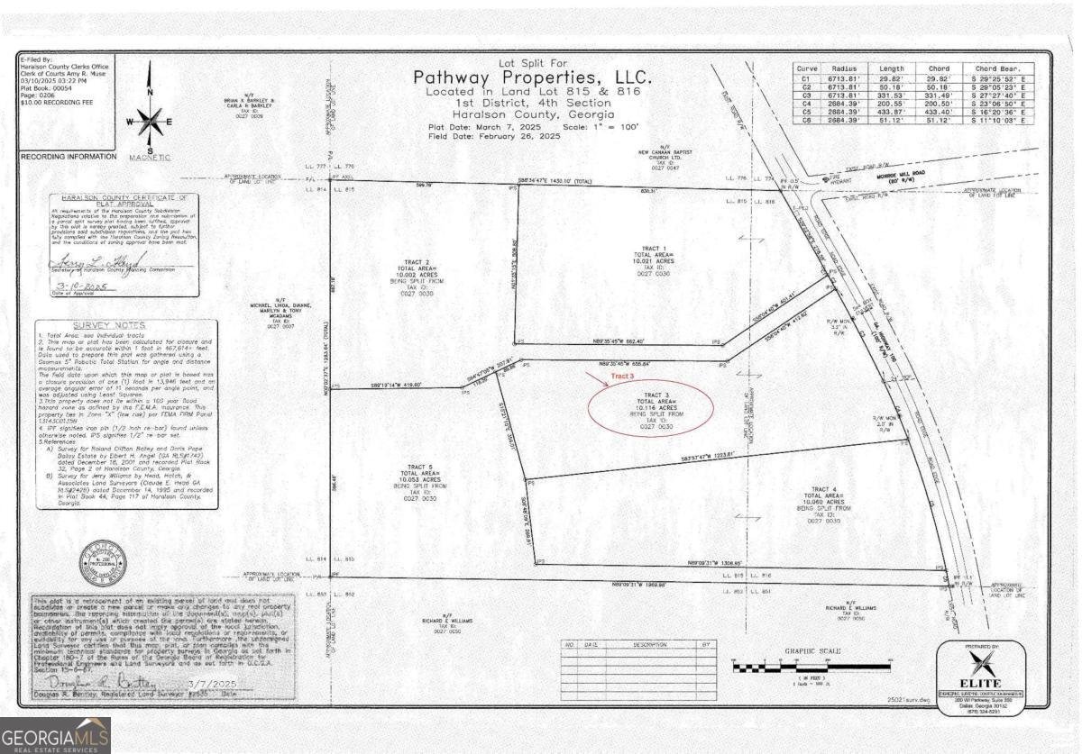 TRACT3 Georgia Highway 100 Buchanan - 36