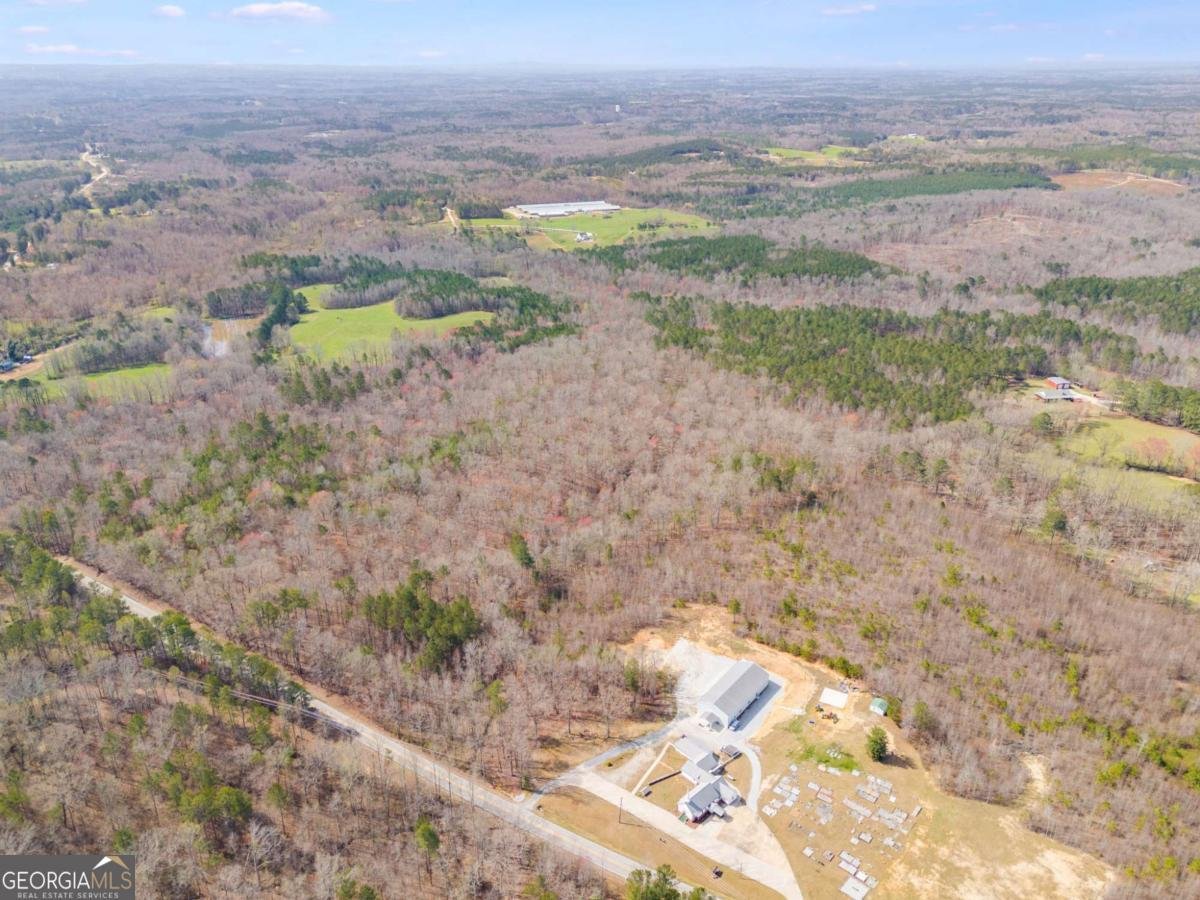 TRACT3 Georgia Highway 100 Buchanan - 47