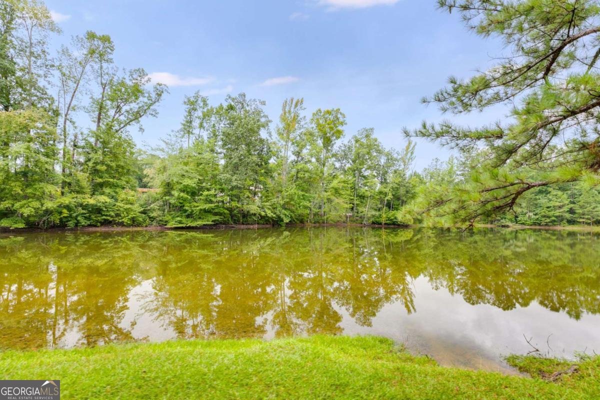 97 Twelve Parks Trail Sharpsburg - 5