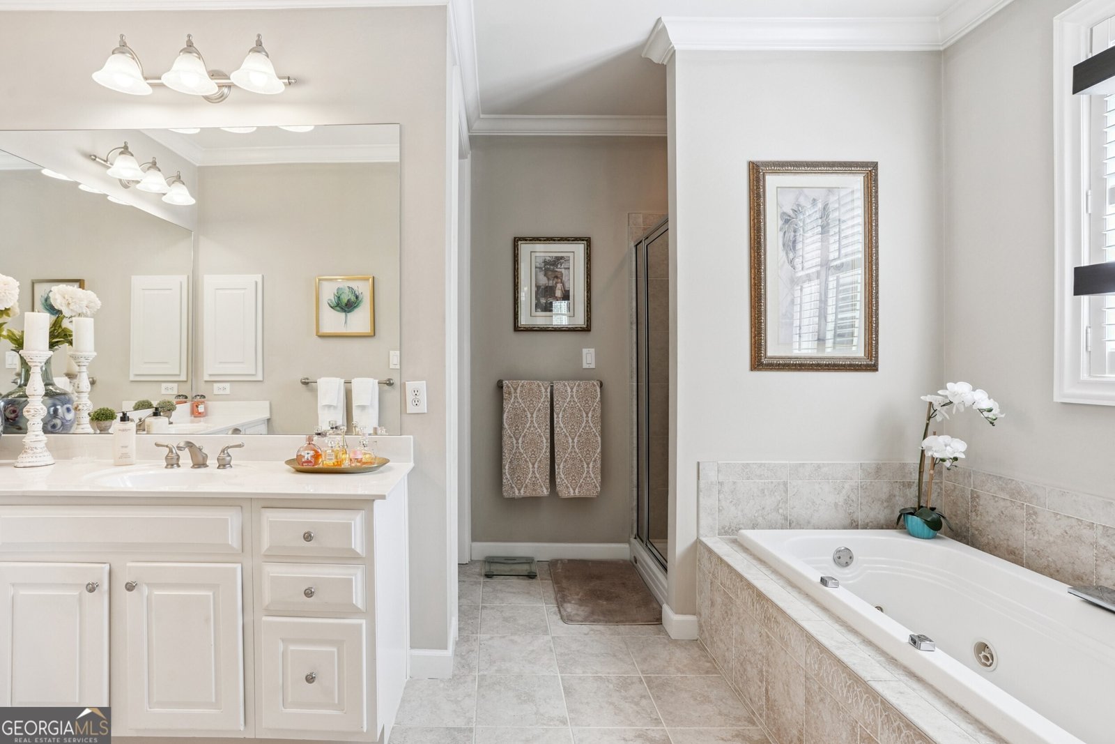 4805 IVY RIDGE Drive Atlanta - 21