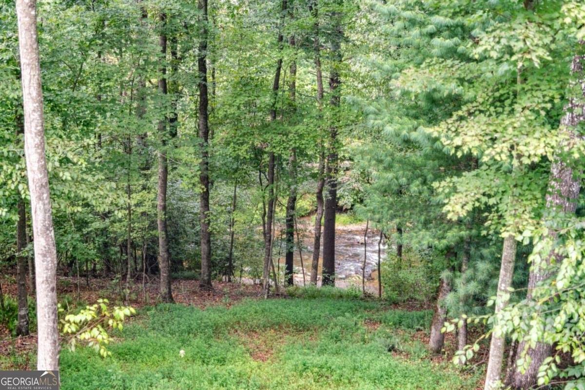 120 Johnson Mill Court Ellijay - 41