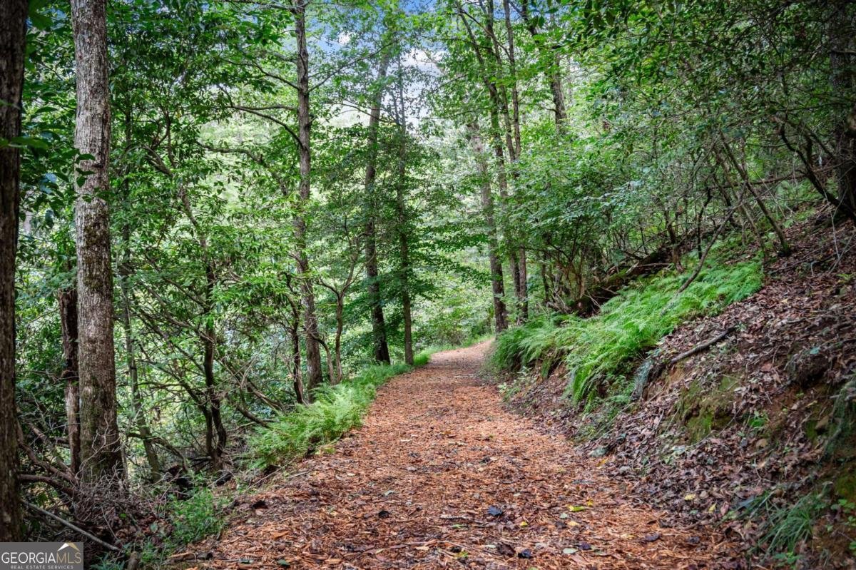 120 Johnson Mill Court Ellijay - 52