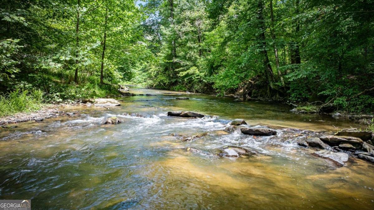 120 Johnson Mill Court Ellijay - 53
