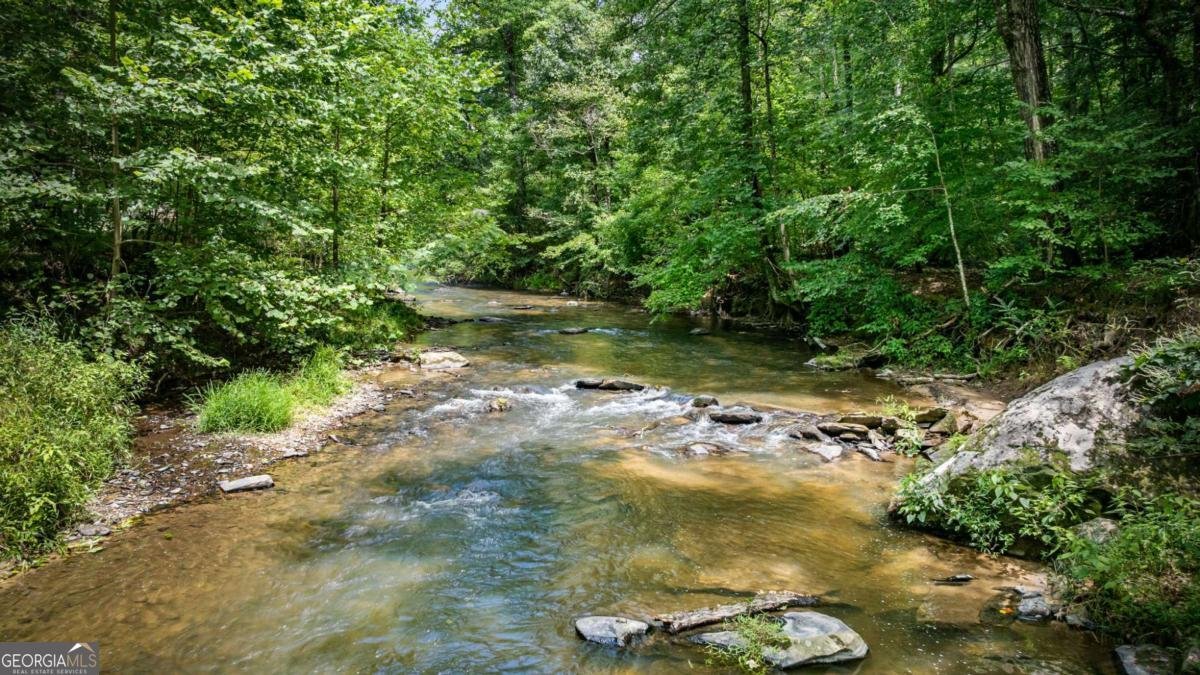 120 Johnson Mill Court Ellijay - 54