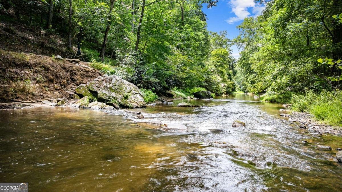 120 Johnson Mill Court Ellijay - 55