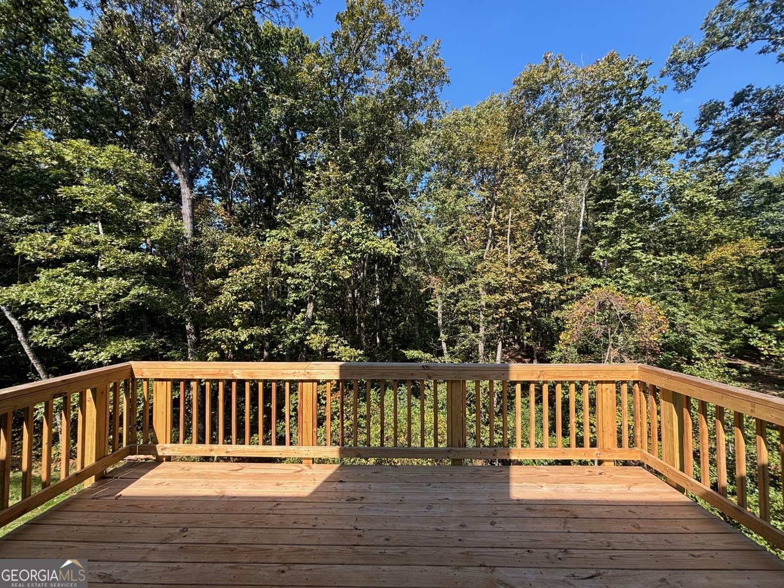 4421 Whitetail Path Cove Gainesville - 24