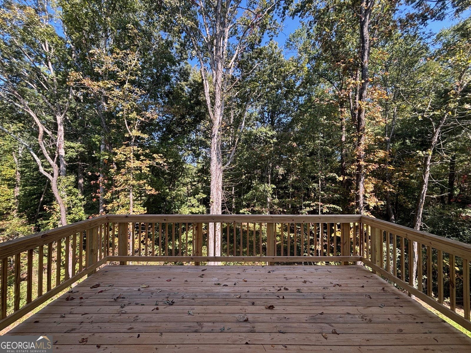 4420 Whitetail Path Cove Gainesville - 32