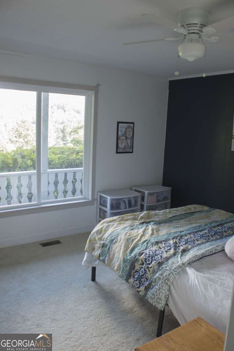 48 Little Bear Trail Dillard - 14