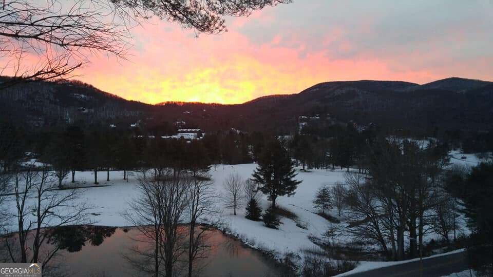 48 Little Bear Trail Dillard - 18