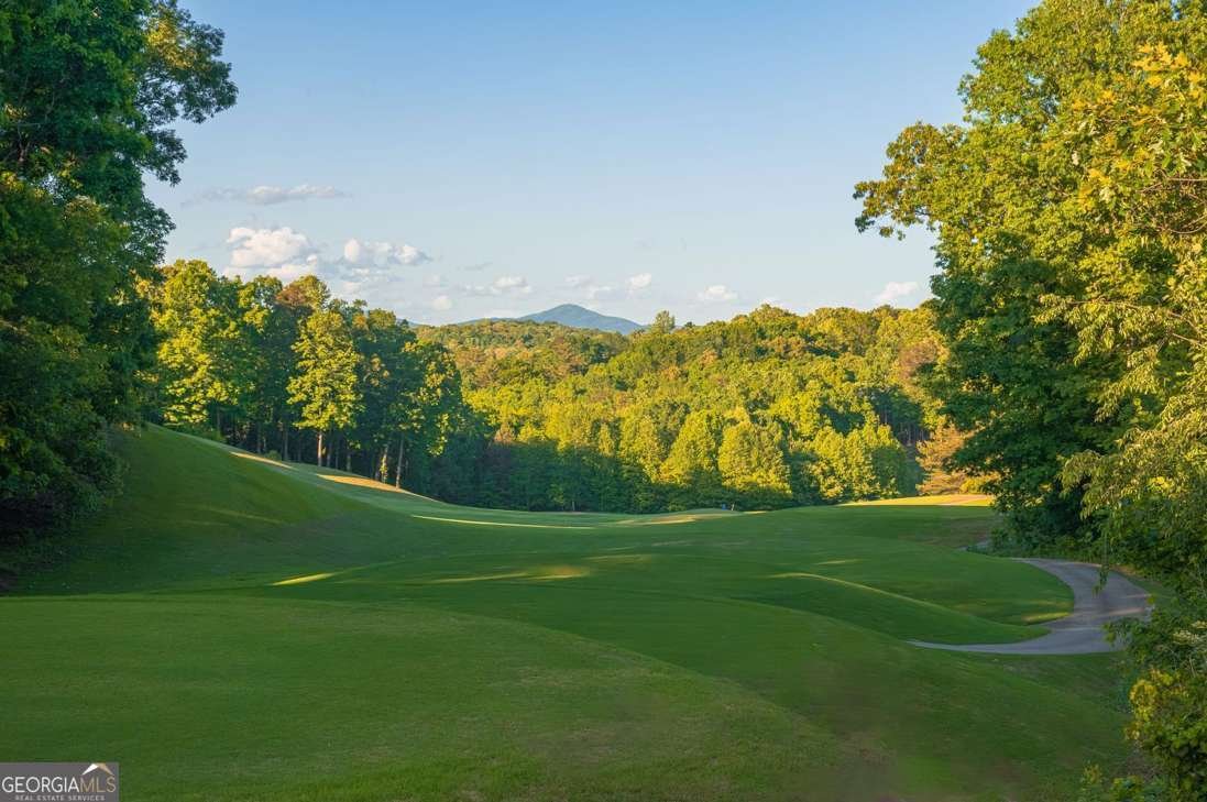 9 Fieldstone Court Dawsonville - 13