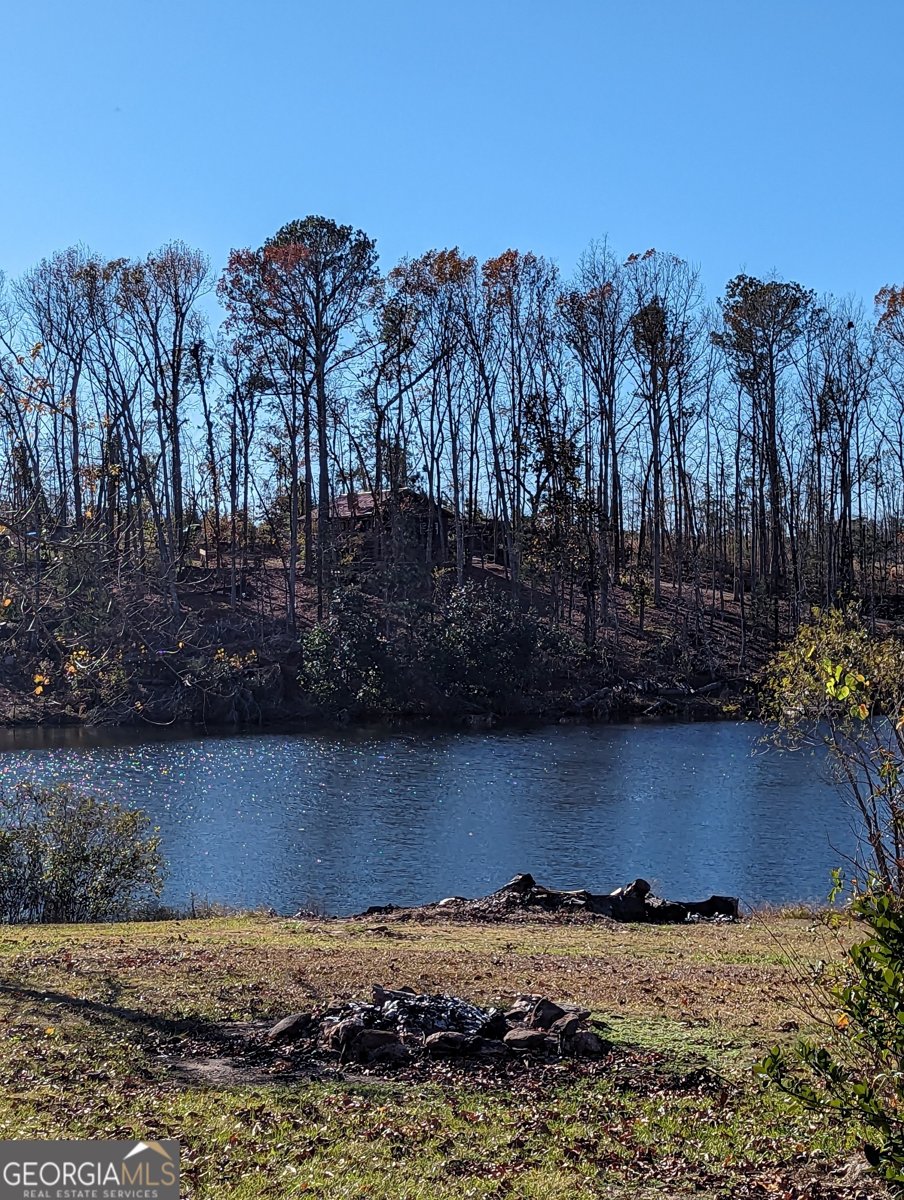 14 Cherokee Resort Road Pine Mountain - 2