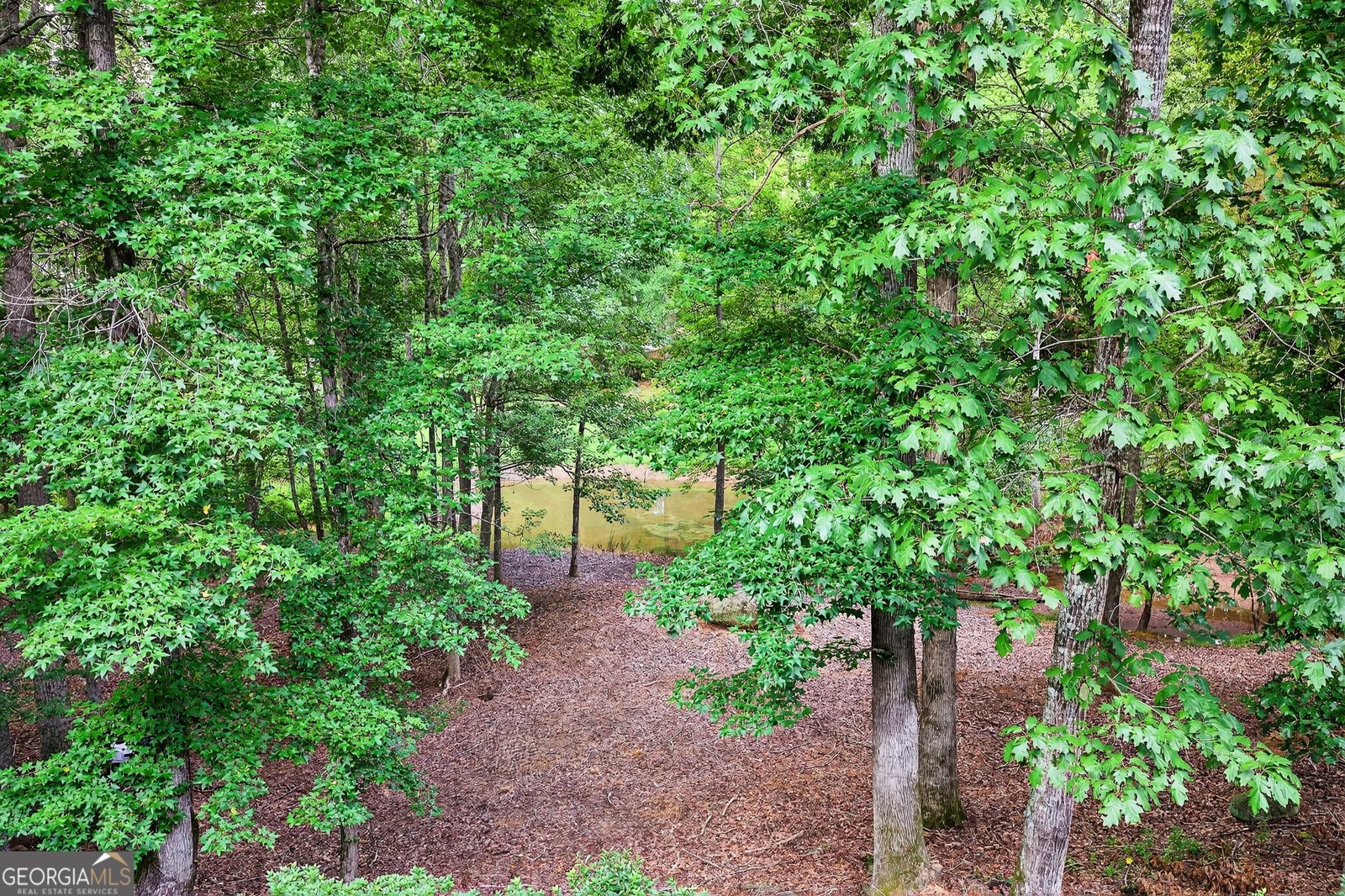 115 Vinings Trace Newnan - 18