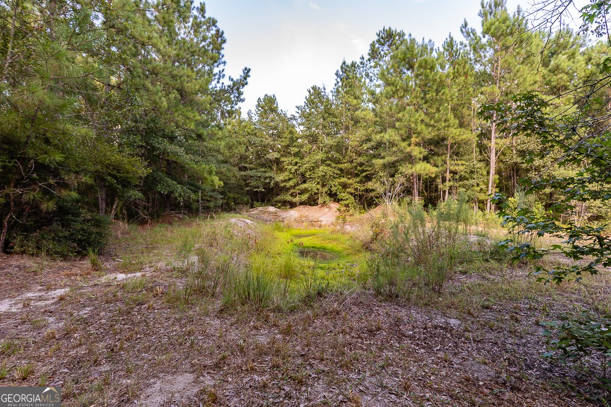 4220 Otter Hole Branch Road Pembroke - 20