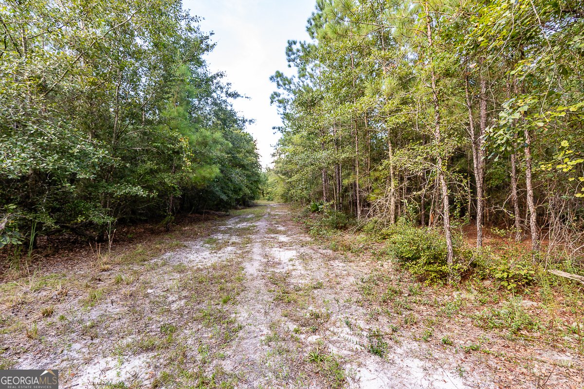 4220 Otter Hole Branch Road Pembroke - 22