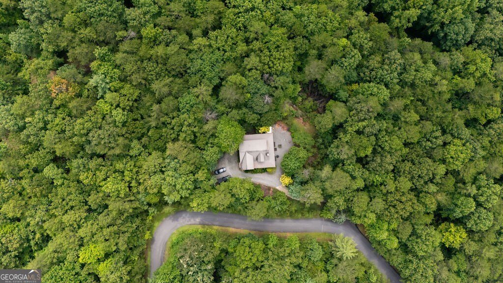 120 Foxfire Road Blue Ridge - 16
