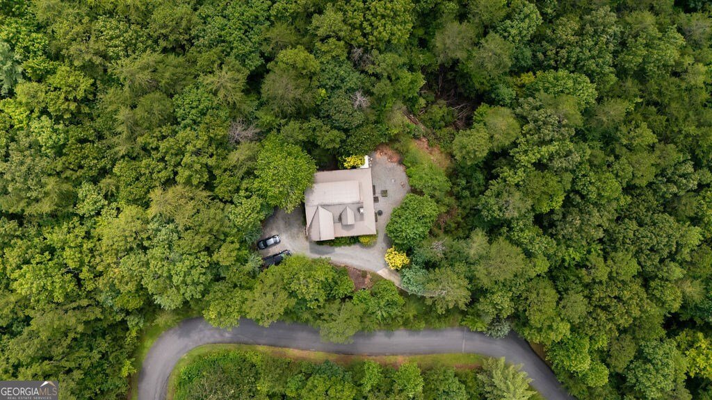 120 Foxfire Road Blue Ridge - 21