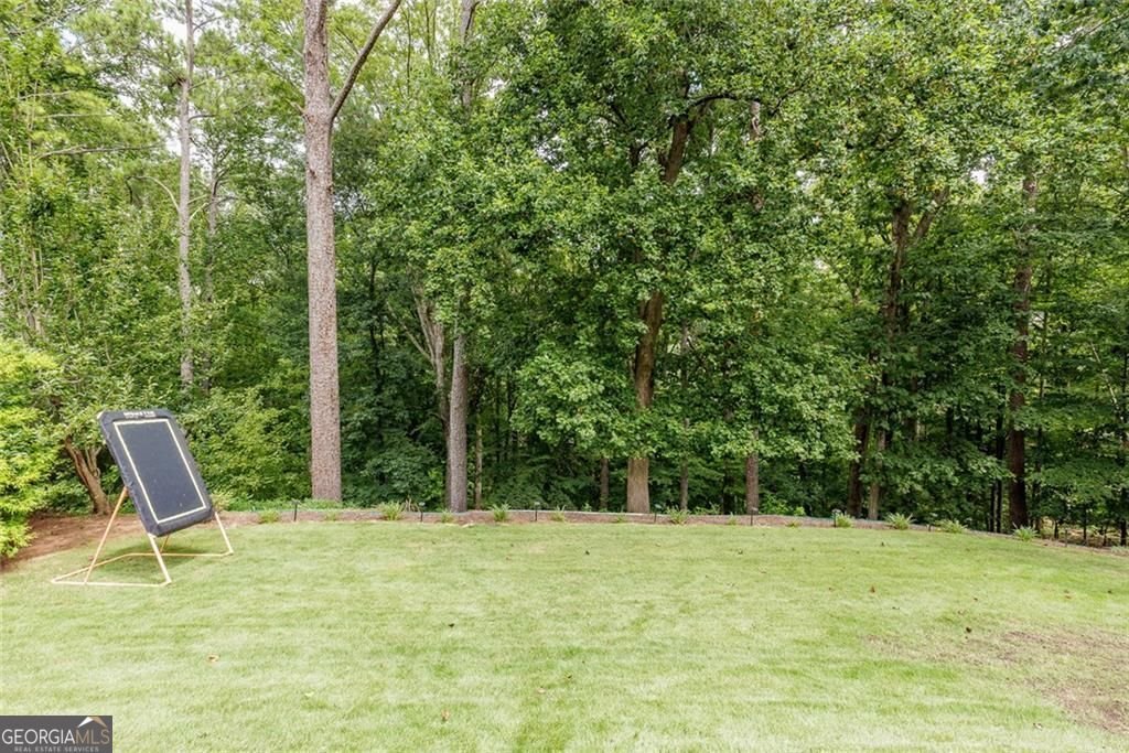 8145 Habersham Waters Road Sandy Springs - 28