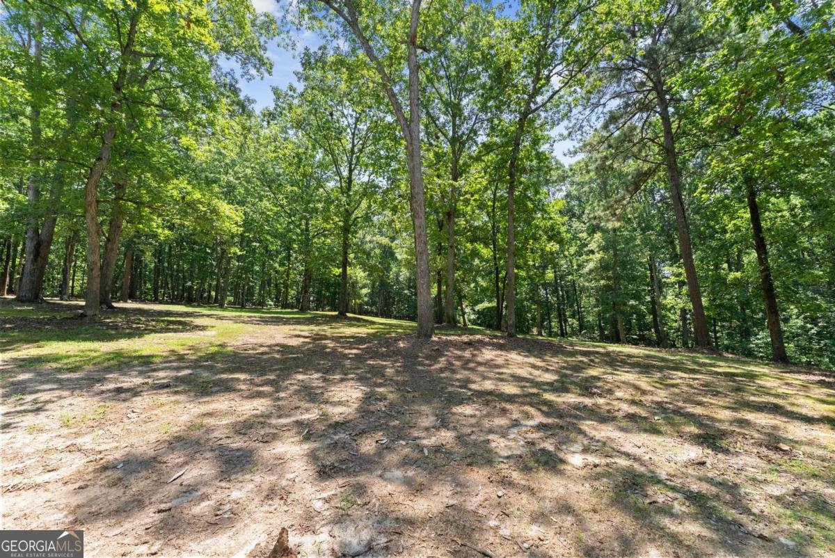 5755 Hopewell Road Cumming - 72