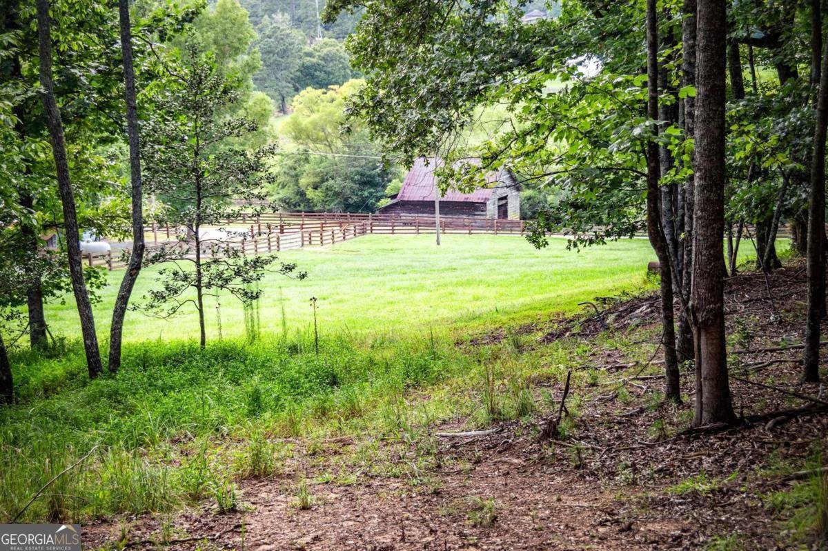 1281 Deaver Road Blairsville - 10