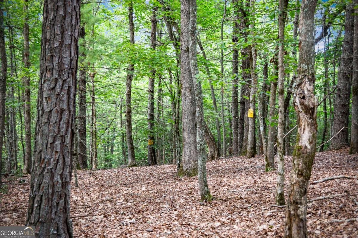 1281 Deaver Road Blairsville - 14