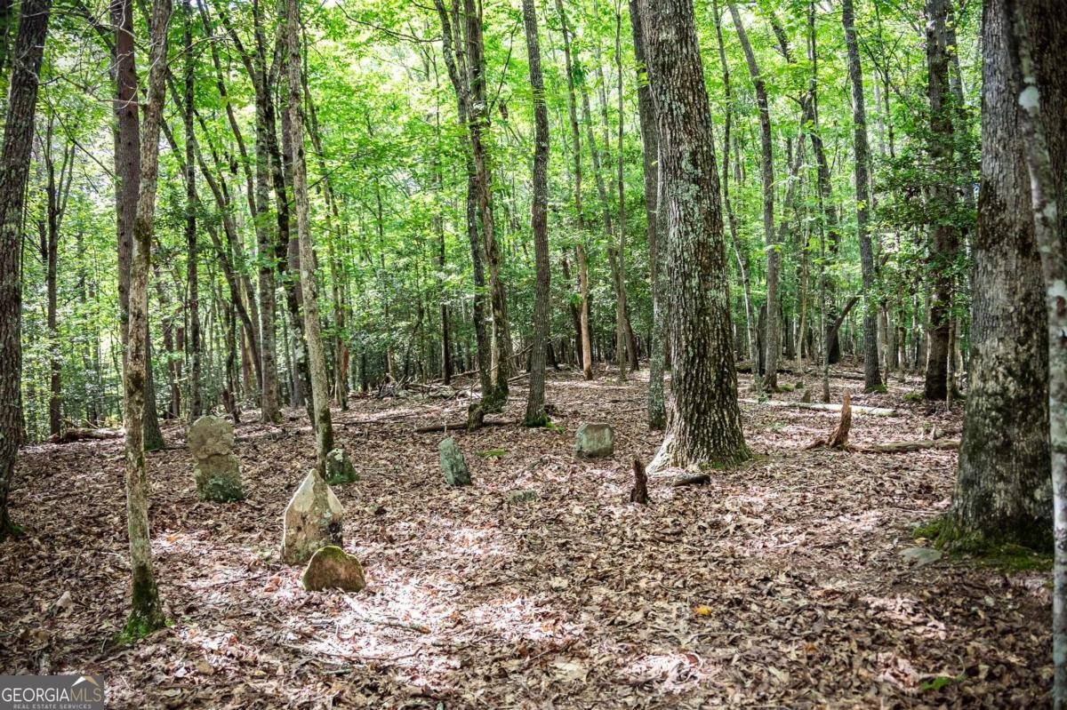 1281 Deaver Road Blairsville - 4