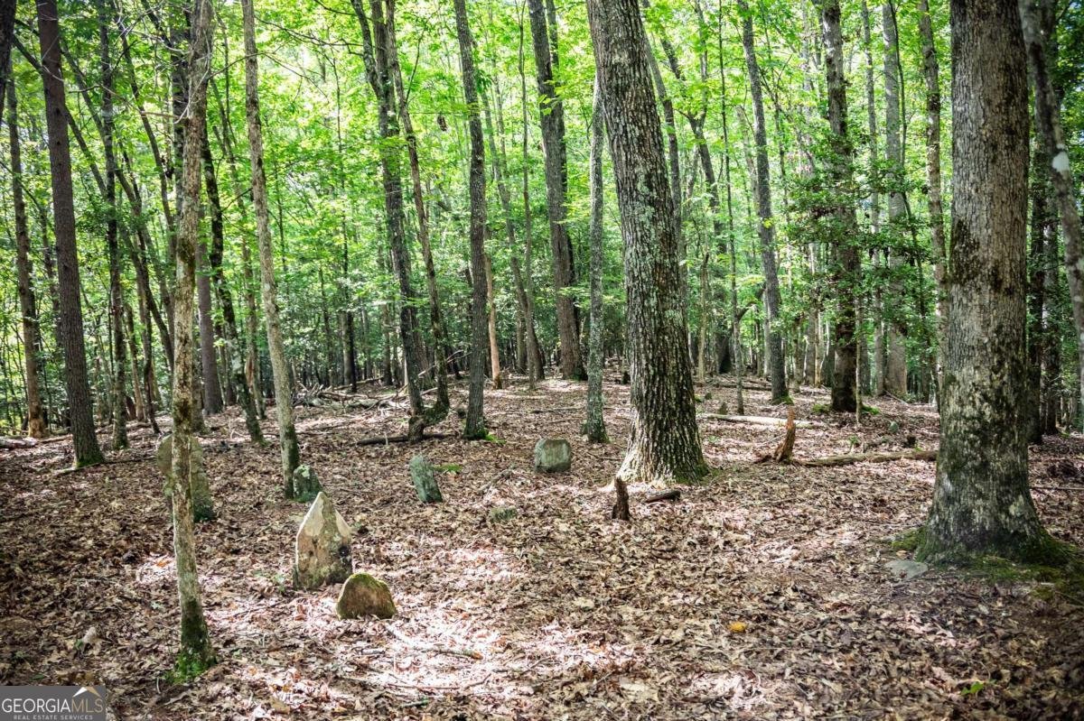 1281 Deaver Road Blairsville - 5