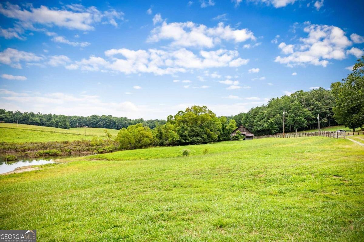 1281 Deaver Road Blairsville - 50