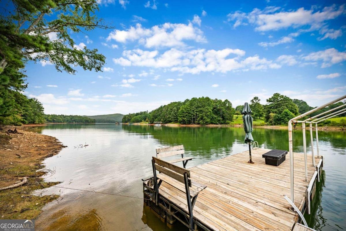 1281 Deaver Road Blairsville - 58