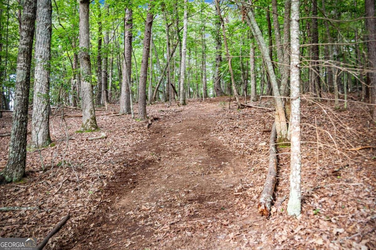 1281 Deaver Road Blairsville - 63