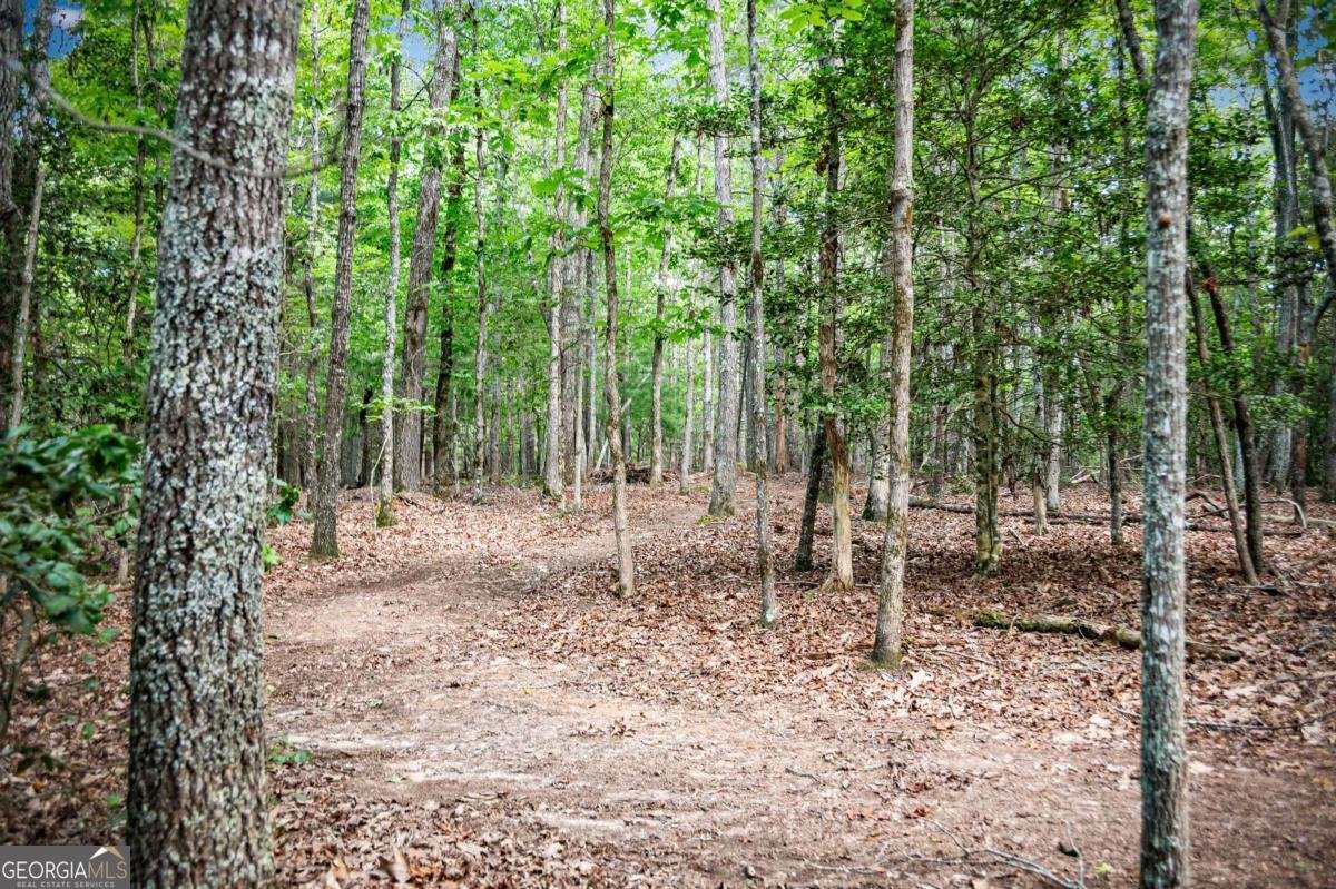 1281 Deaver Road Blairsville - 65