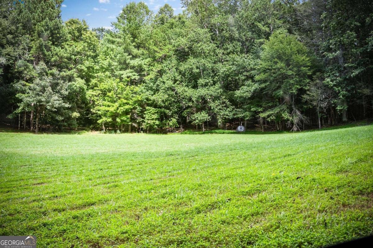 1281 Deaver Road Blairsville - 7