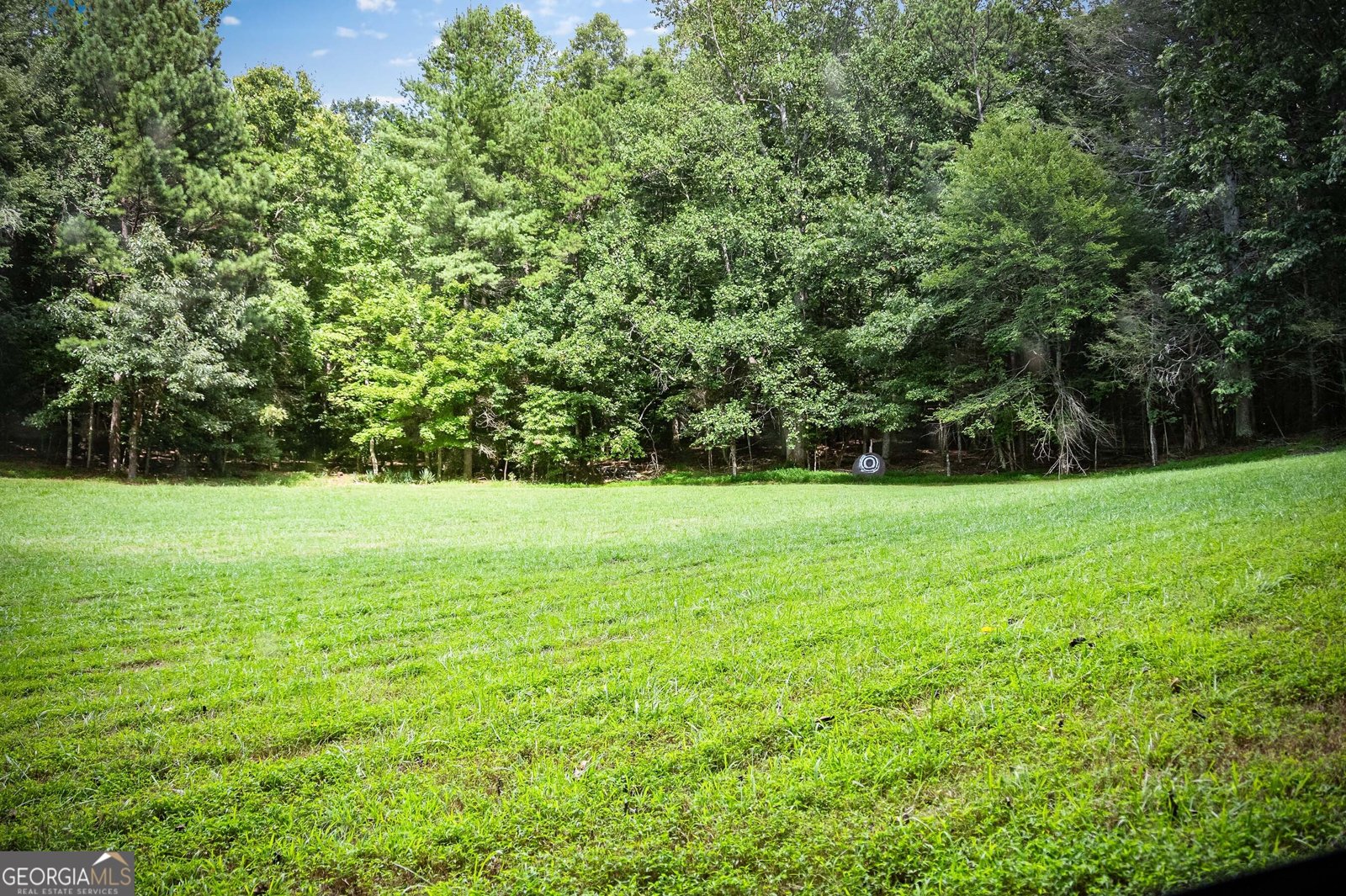 1281 Deaver Road Blairsville - 80