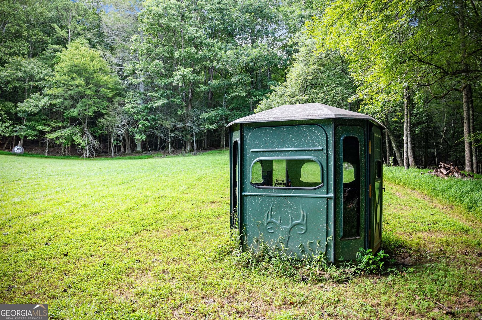 1281 Deaver Road Blairsville - 82