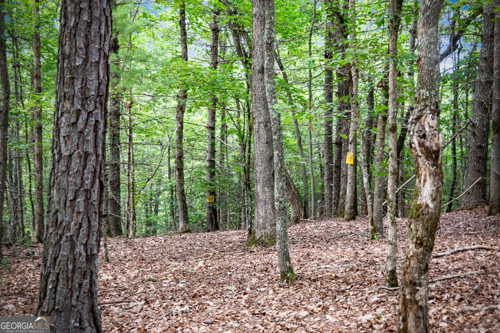 1281 Deaver Road Blairsville - 87