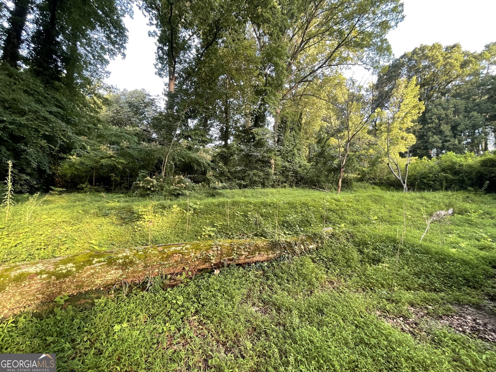 3041 Dodson Drive East Point - 10