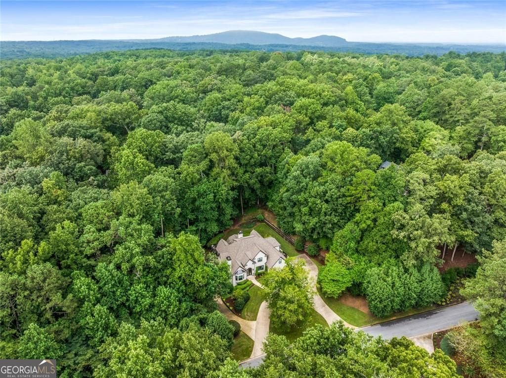 12960 Bucksport Drive Roswell - 51