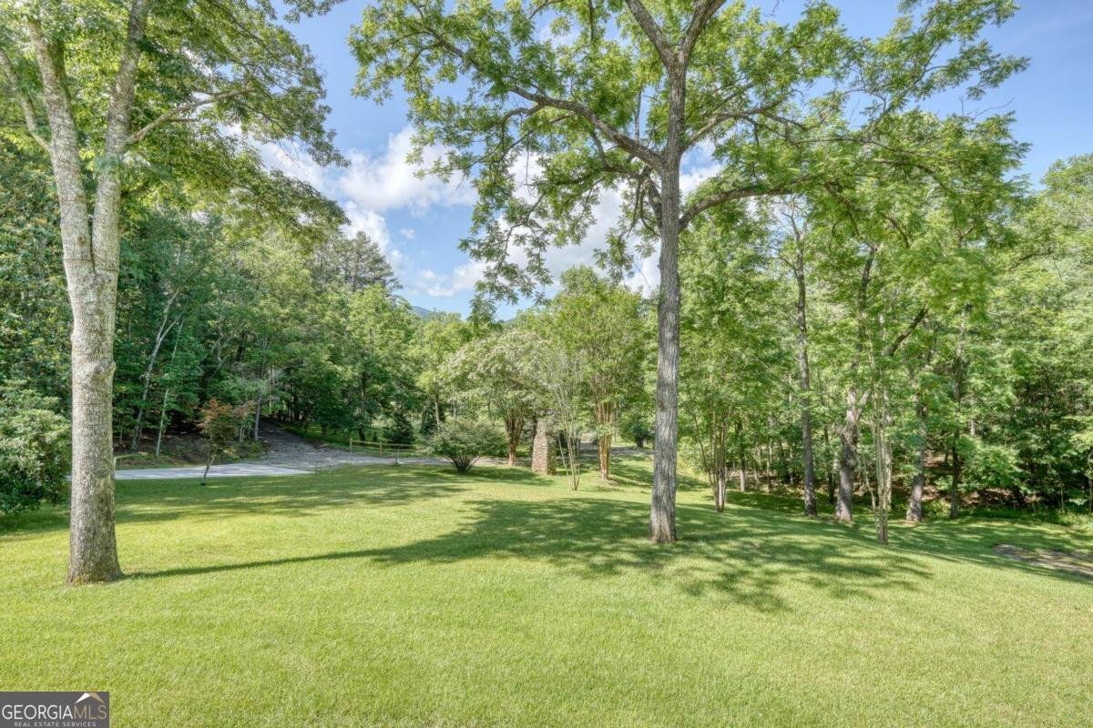 350 Miller Cove Road Blairsville - 14