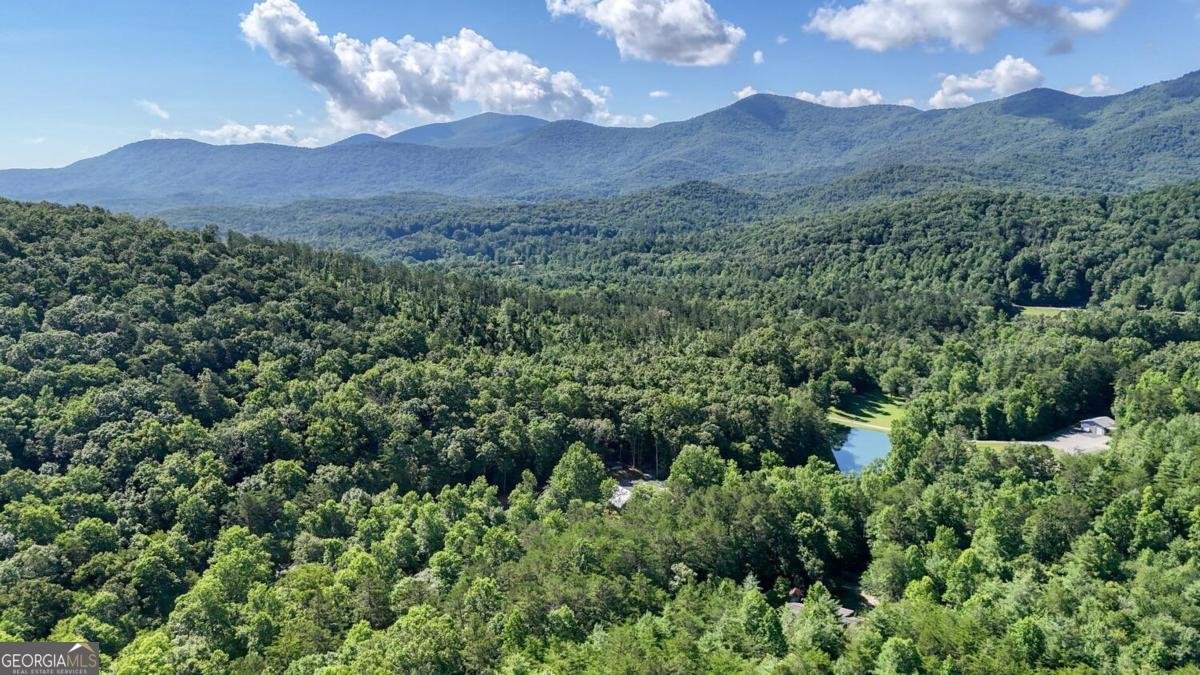 350 Miller Cove Road Blairsville - 5
