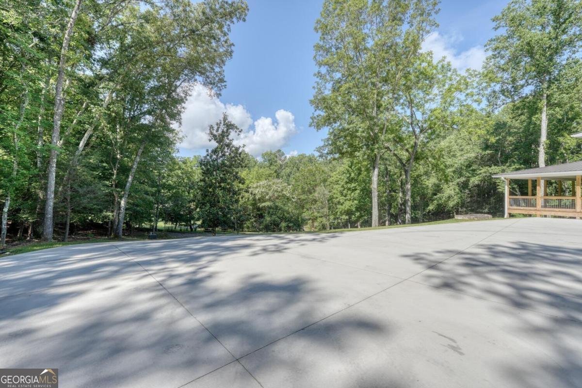 350 Miller Cove Road Blairsville - 57