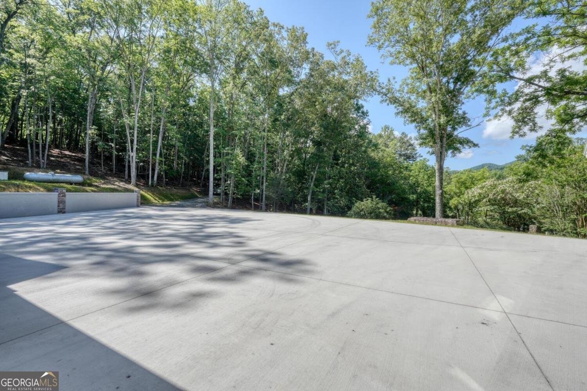 350 Miller Cove Road Blairsville - 63