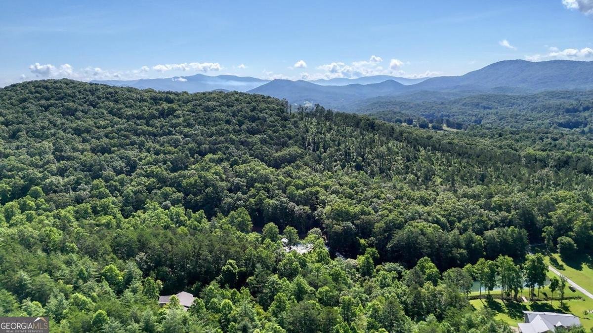 350 Miller Cove Road Blairsville - 7