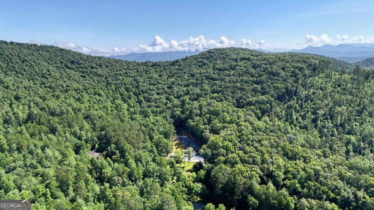 350 Miller Cove Road Blairsville - 8