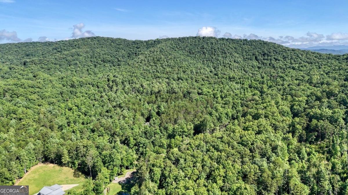 350 Miller Cove Road Blairsville - 9