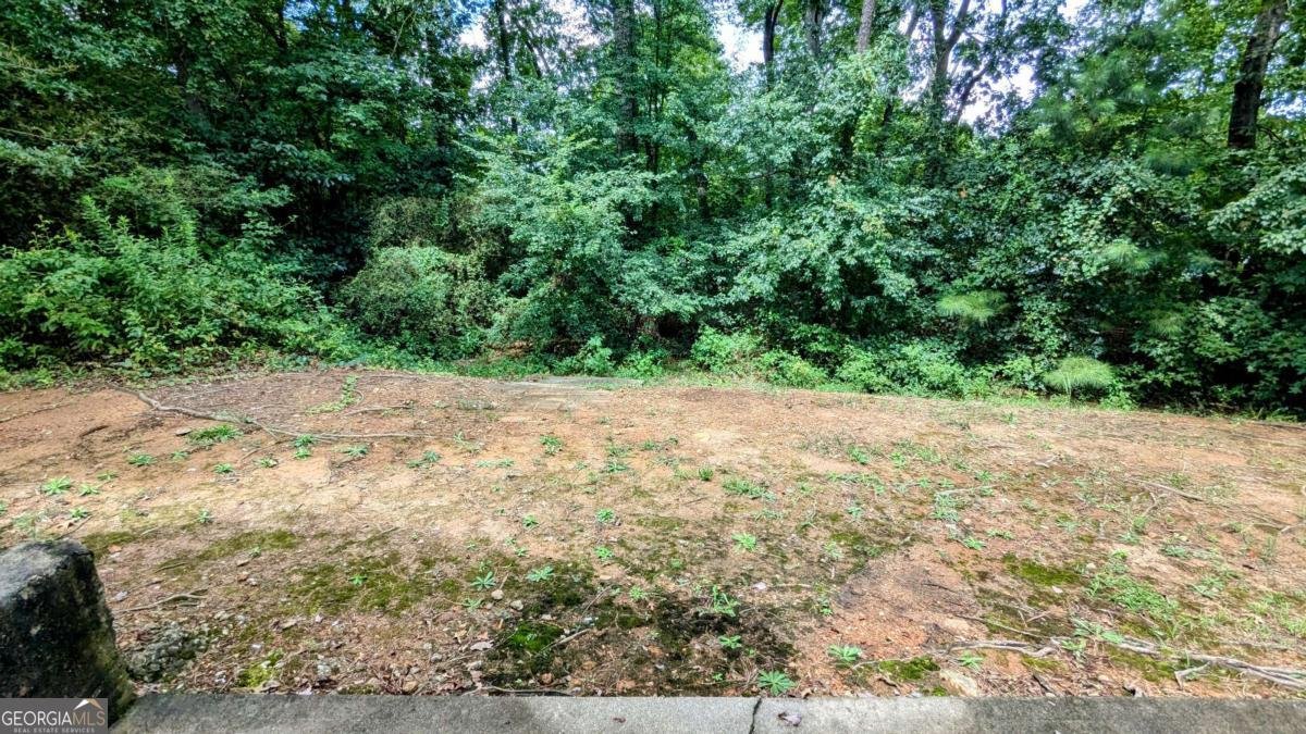 1974 Boulder Gate Drive Ellenwood - 19