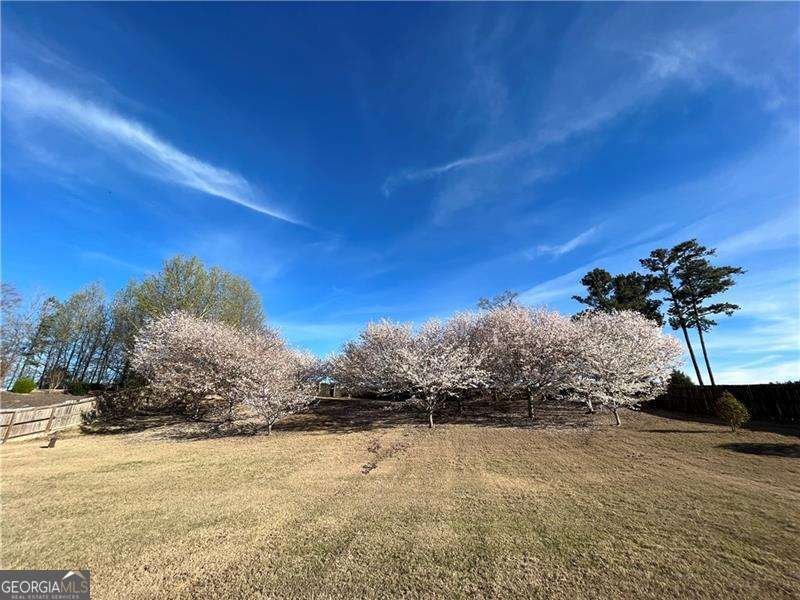 5730 Boulder Ridge Court Flowery Branch - 35
