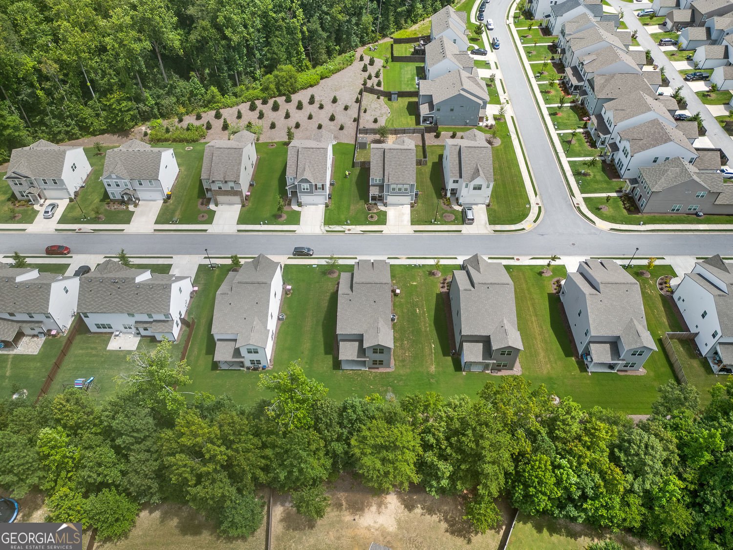 2945 Vinca Drive Buford - 44