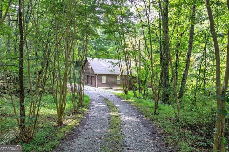706 HOLLY SPRINGS Road Rockmart - 3