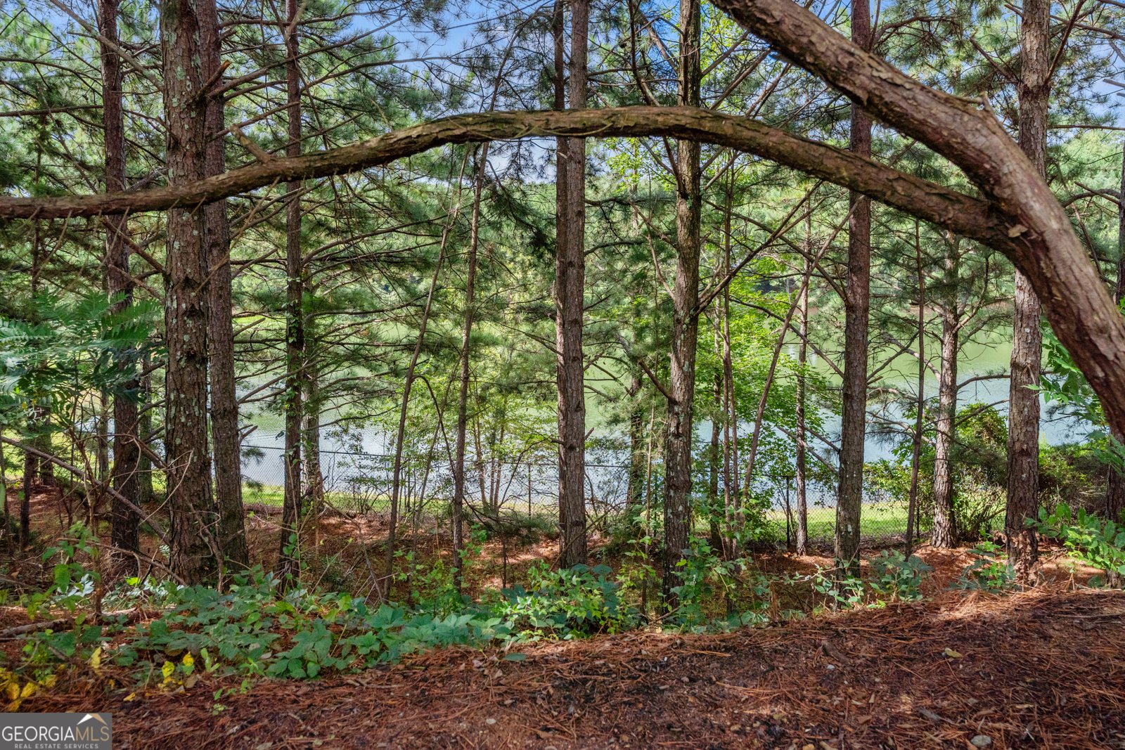 5030 Habersham Hills Drive Suwanee - 34