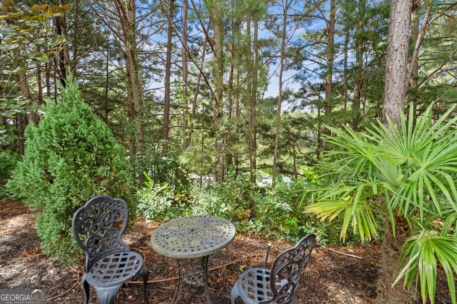 5030 Habersham Hills Drive Suwanee - 35