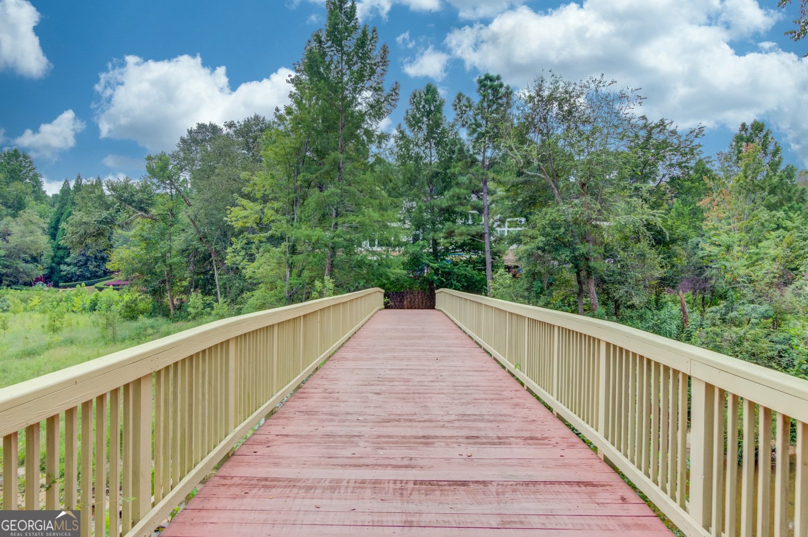 6010 Chimney Rock Drive Hoschton - 24